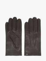 Handschoenen Isotoner Bruin men gloves 69077