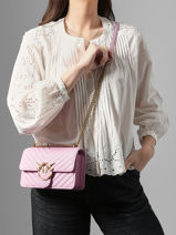 Cross Body Tas Love Bag Quilt Leder Pinko Roze love bag quilt A0GK-vue-porte